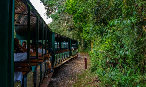 Tren Ecológico de la Selva